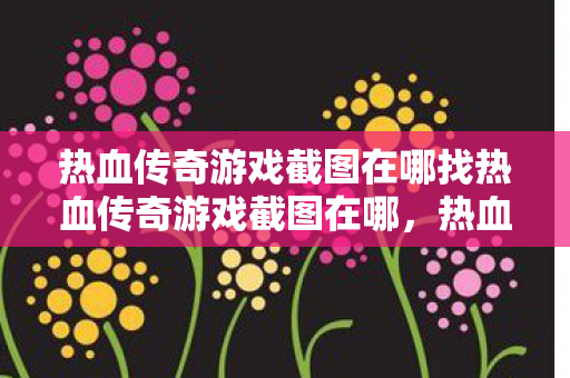 热血传奇游戏截图在哪找热血传奇游戏截图在哪图片