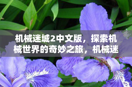 机械迷城2中文版，探索机械世界的奇妙之旅，机械迷城2中文版，探索机械世界的奇妙冒险之旅