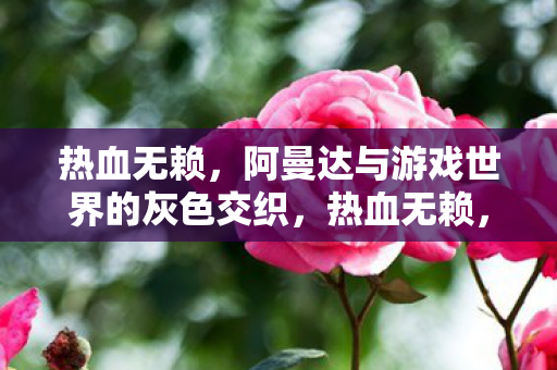 热血无赖，阿曼达与游戏世界的灰色交织，热血无赖，阿曼达与游戏世界的灰色交织