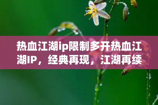 热血江湖ip限制多开热血江湖IP，经典再现，江湖再续，热血江湖IP限制多开，经典再现，江湖再续