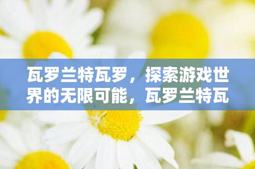 瓦罗兰特瓦罗，探索游戏世界的无限可能，瓦罗兰特瓦罗，探索游戏世界的无限可能