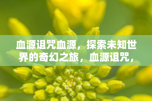 血源诅咒血源，探索未知世界的奇幻之旅，血源诅咒，探索未知世界的奇幻之旅