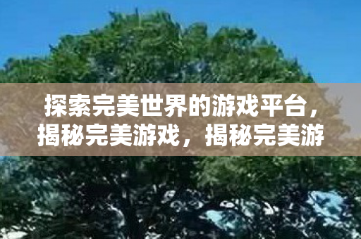 探索完美世界的游戏平台图片