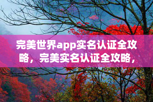 完美世界app实名认证全攻略图片