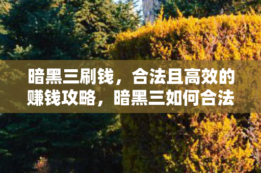 暗黑三刷钱，合法且高效的赚钱攻略，暗黑三如何合法高效刷钱？