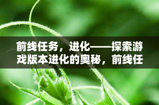 前线任务，进化——探索游戏版本进化的奥秘，前线任务进化，探索游戏版本进化的奥秘
