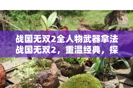 战国无双2全人物武器拿法战国无双2，重温经典，探索无双世界的无限可能，战国无双2，重温经典，探索无双世界的无限可能