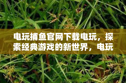 电玩捕鱼官网下载电玩，探索经典游戏的新世界，电玩捕鱼官网下载电玩，探索经典游戏新境界