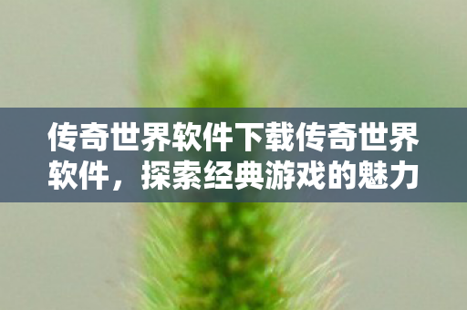 传奇世界软件下载传奇世界软件图片