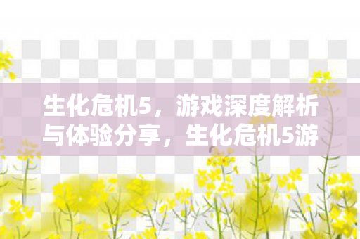 生化危机5，游戏深度解析与体验分享，生化危机5游戏深度解析与体验分享，惊险刺激，值得一试！