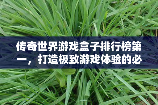 传奇世界游戏盒子排行榜第一图片