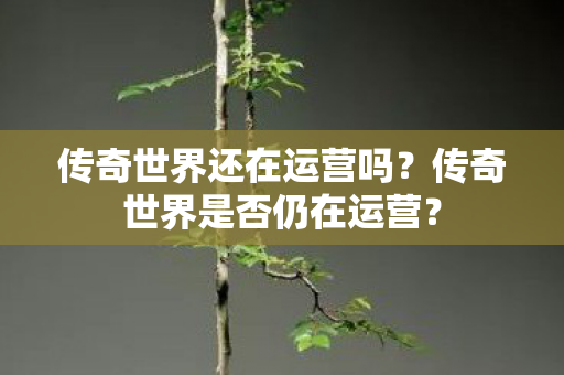 传奇世界是否仍在运营图片