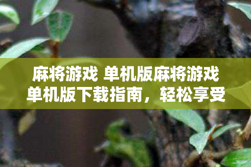 麻将游戏 单机版麻将游戏单机版下载指南,轻松享受麻将乐趣,轻松享受麻将乐趣,单机版麻将游戏下载指南 麻将游戏 单机版麻将游戏单机版下载指南,轻松享受麻将乐趣,轻松享受麻将乐趣,单机版麻将游戏下载指南