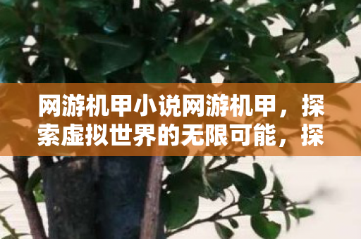 网游机甲小说网游机甲,探索虚拟世界的无限可能,探索虚拟世界的无限可能,网游机甲小说 网游机甲小说网游机甲,探索虚拟世界的无限可能,探索虚拟世界的无限可能,网游机甲小说