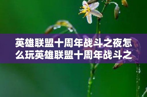 英雄联盟十周年战斗之夜怎么玩英雄联盟十周年战斗之夜，庆典背后的故事与回忆，英雄联盟十周年战斗之夜，庆典背后的故事与回忆