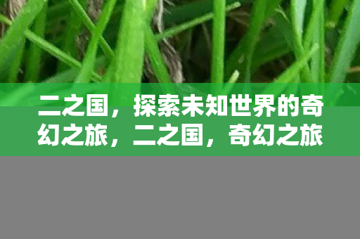 二之国，探索未知世界的奇幻之旅，二之国，奇幻之旅，探索未知世界