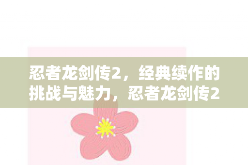 忍者龙剑传2，经典续作的挑战与魅力，忍者龙剑传2，经典续作的挑战与魅力