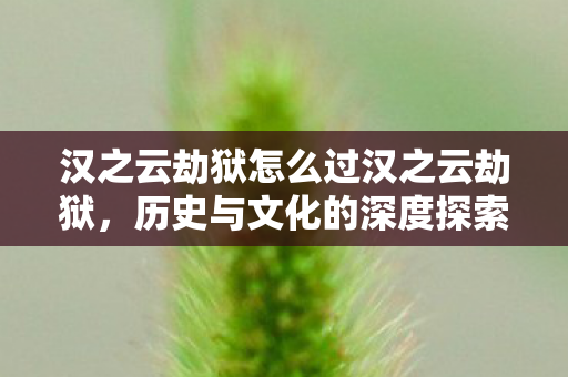 汉之云劫狱怎么过汉之云劫狱图片