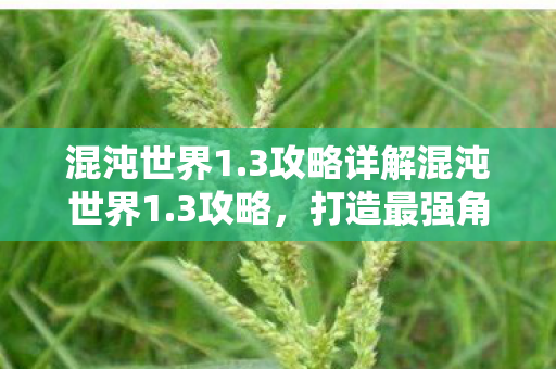 混沌世界1.3攻略详解混沌世界1.3攻略，打造最强角色的全面指南，混沌世界1.3，打造最强角色的全面攻略