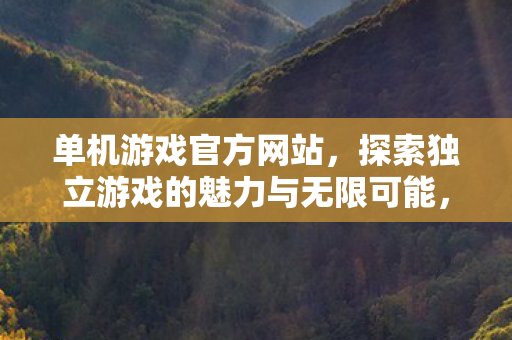 单机游戏官方网站，探索独立游戏的魅力与无限可能，探索独立游戏魅力，单机游戏官方网站等你来体验