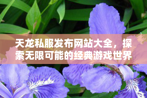天龙私服发布网站大全,探索无限可能的经典游戏世界,探索无限经典,天龙私服发布网站大全 天龙私服发布网站大全,探索无限可能的经典游戏世界,探索无限经典,天龙私服发布网站大全