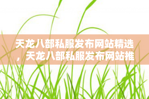 天龙八部私服发布网站精选图片