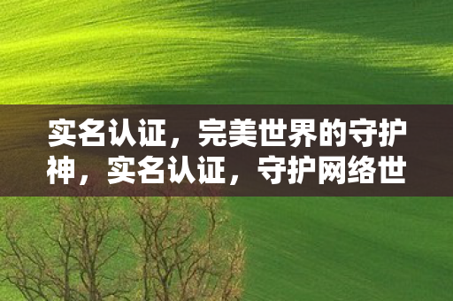 守护网络世界的完美安全图片