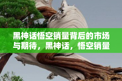 黑神话悟空销量背后的市场与期待,黑神话,悟空销量背后的市场期待与影响 黑神话悟空销量背后的市场与期待,黑神话,悟空销量背后的市场期待与影响