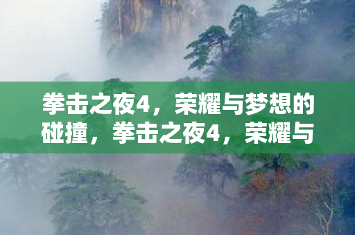 拳击之夜4，荣耀与梦想的碰撞，拳击之夜4，荣耀与梦想的激烈碰撞