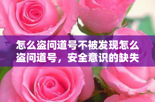 怎么盗问道号不被发现怎么盗问道号，安全意识的缺失与防范策略，如何安全盗取问道号，避免被发现的策略