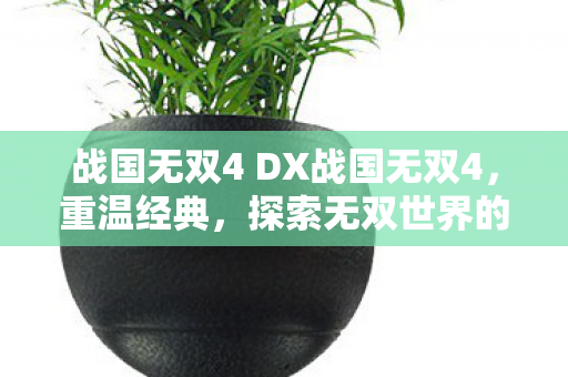 战国无双4 DX战国无双4,重温经典,探索无双世界的魅力,战国无双4 DX重温经典,探索无双世界的魅力 战国无双4 DX战国无双4,重温经典,探索无双世界的魅力,战国无双4 DX重温经典,探索无双世界的魅力