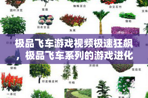 极品飞车游戏视频极速狂飙，极品飞车系列的游戏进化之路，极品飞车，游戏进化之路的极速狂飙
