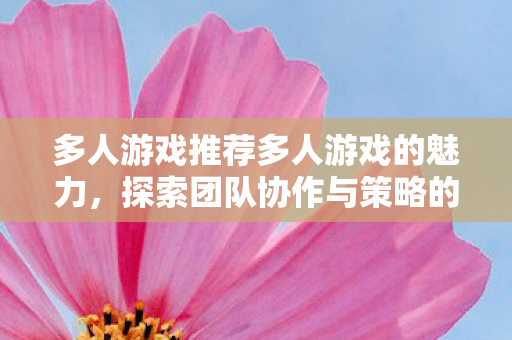 多人游戏推荐多人游戏的魅力，探索团队协作与策略的深度，多人游戏，探索团队协作与策略的深度