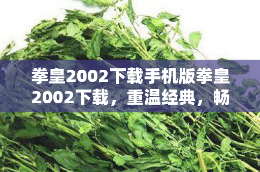 拳皇2002下载手机版拳皇2002下载，重温经典，畅享格斗盛宴，重温经典格斗盛宴，拳皇2002手机版下载来袭