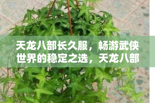 畅游武侠世界的稳定之选图片