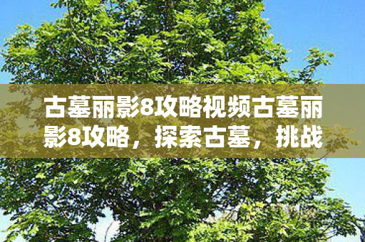 古墓丽影8攻略视频古墓丽影8攻略，探索古墓，挑战极限，古墓丽影8攻略，探索古墓，挑战极限