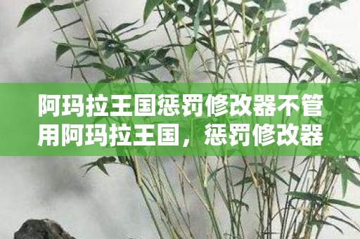 阿玛拉王国惩罚修改器不管用阿玛拉王国，惩罚修改器的深度解析，阿玛拉王国，惩罚修改器失效的深度解析