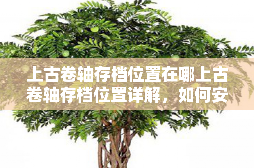 上古卷轴存档位置在哪上古卷轴存档位置详解，如何安全备份与恢复，上古卷轴存档位置详解及安全备份恢复指南