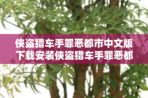 侠盗猎车手罪恶都市中文版下载安装侠盗猎车手罪恶都市中文版下载指南，侠盗猎车手罪恶都市中文版下载指南