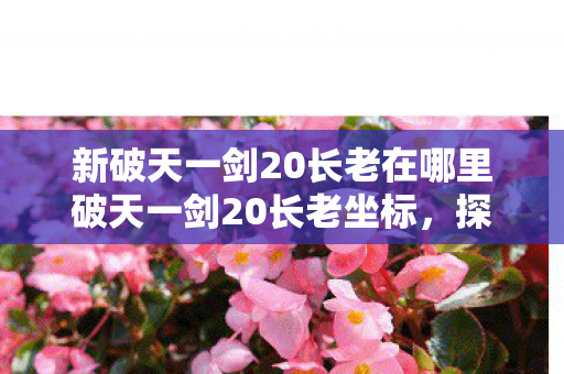 新破天一剑20长老在哪里破天一剑20长老坐标，探索神秘之旅，探索新破天一剑20长老神秘坐标之旅