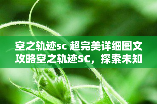 空之轨迹sc 超完美详细图文攻略空之轨迹SC，探索未知世界的轨迹，空之轨迹SC，探索未知世界的轨迹攻略