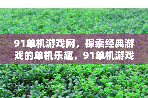 91单机游戏网,探索经典游戏的单机乐趣,91单机游戏网,重温经典单机游戏的乐趣 91单机游戏网,探索经典游戏的单机乐趣,91单机游戏网,重温经典单机游戏的乐趣