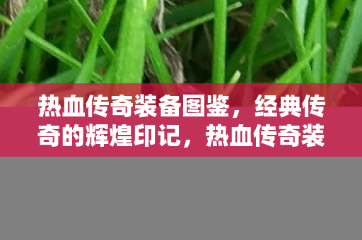 经典传奇的辉煌印记图片
