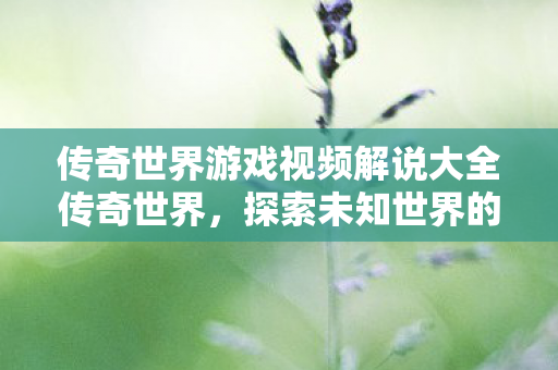 传奇世界游戏视频解说大全传奇世界图片