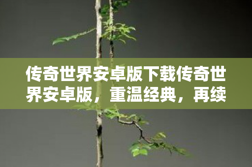 传奇世界安卓版下载传奇世界安卓版图片