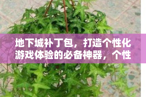 地下城补丁包，打造个性化游戏体验的必备神器，个性化游戏体验必备！地下城补丁包打造你的专属游戏世界