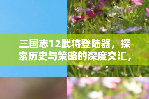 三国志12武将登陆器，探索历史与策略的深度交汇，三国志12武将登陆器，历史与策略的深度交汇