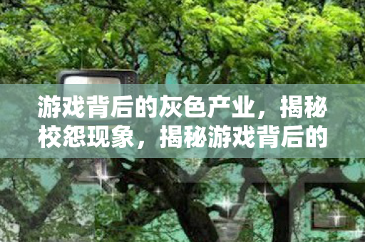 游戏背后的灰色产业,揭秘校怨现象,揭秘游戏背后的灰色产业,校怨现象 游戏背后的灰色产业,揭秘校怨现象,揭秘游戏背后的灰色产业,校怨现象