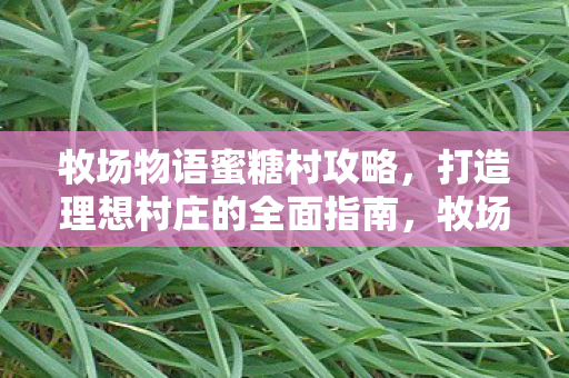 打造理想村庄的全面指南图片