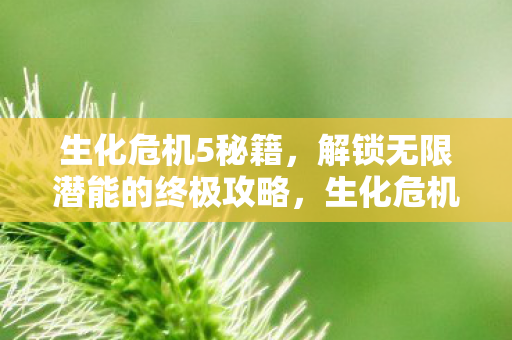 生化危机5解锁无限潜能的终极攻略图片